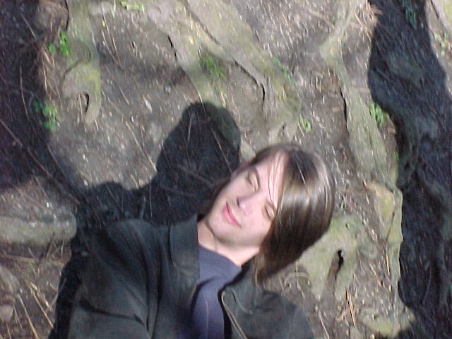Gerritroots.jpg (64603 bytes)