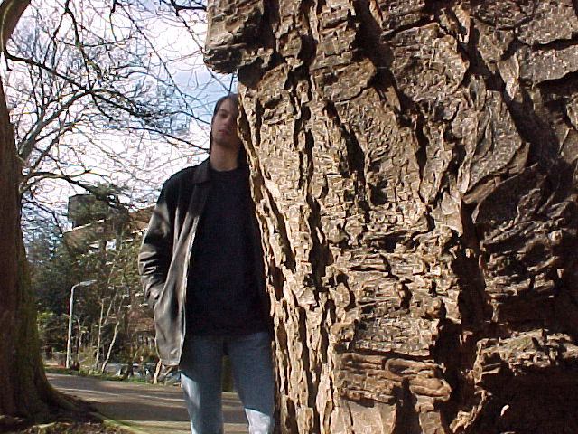 seehimger.jpg (144833 bytes)