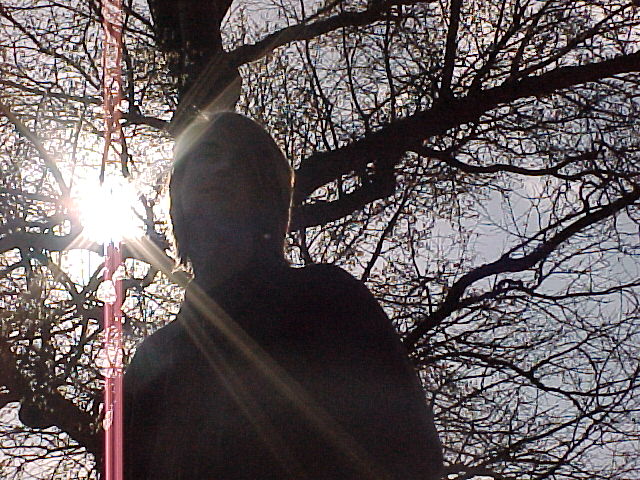 sun&ger.jpg (126928 bytes)